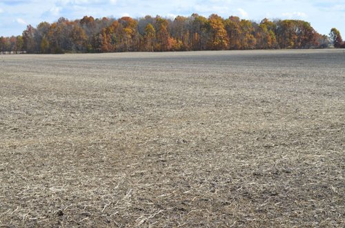 Property photo 10 - 75.3 Acres Offered in 2 Tracts